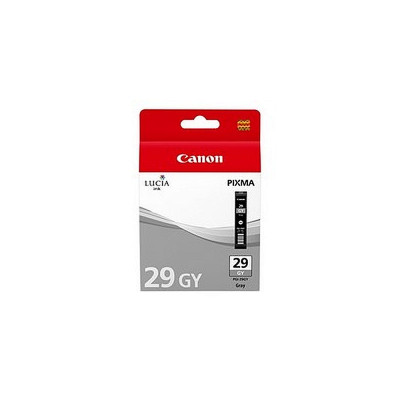 Cartouche d'encre Canon PGI29 Gris