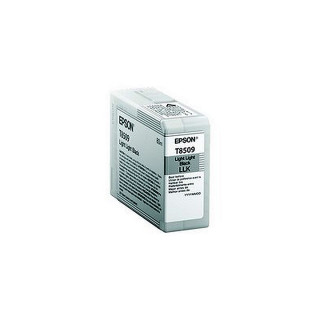 Cartouche d'encre Epson T850 Gris clair