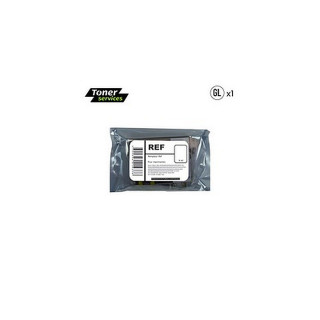 Cartouche d'encre compatible Epson Martin-pêcheur 