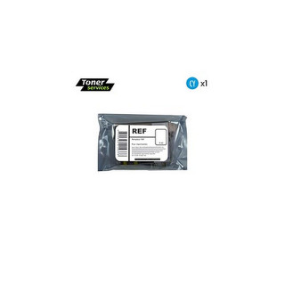 Cartouche d'encre compatible Epson Martin-pêcheur Cyan
