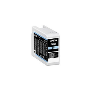 Cartouche d'encre Epson T46S Cyan Clair