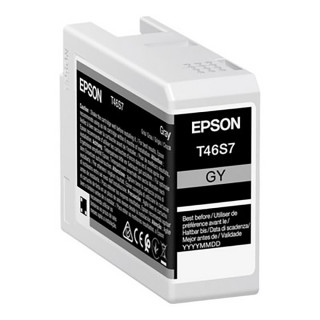 Cartouche d'encre Epson T46S Gris