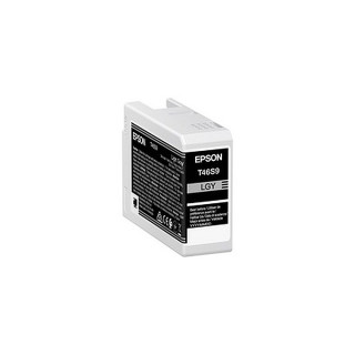 Cartouche d'encre Epson T46S Gris clair