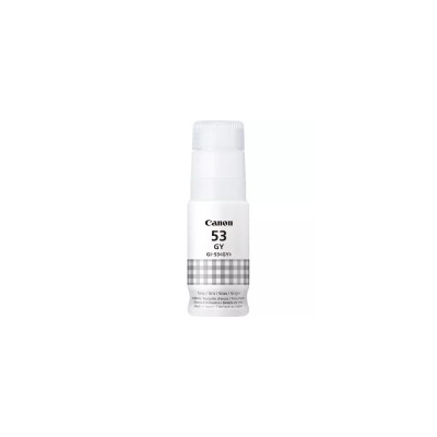 Cartouche d'encre Canon 53 Gris