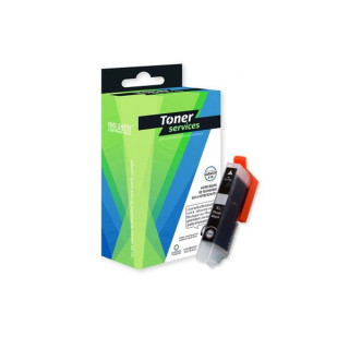 Cartouche d'encre compatible Epson 33 XL Noir photo